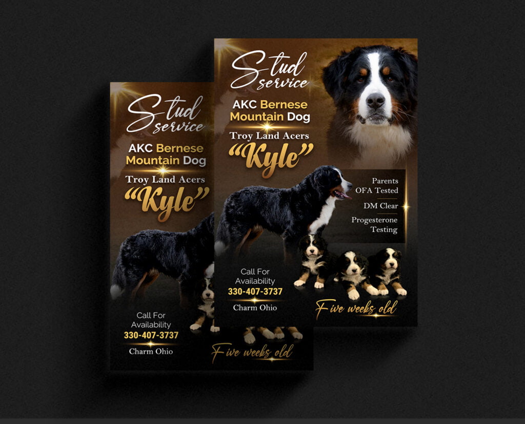 Dog flyer design